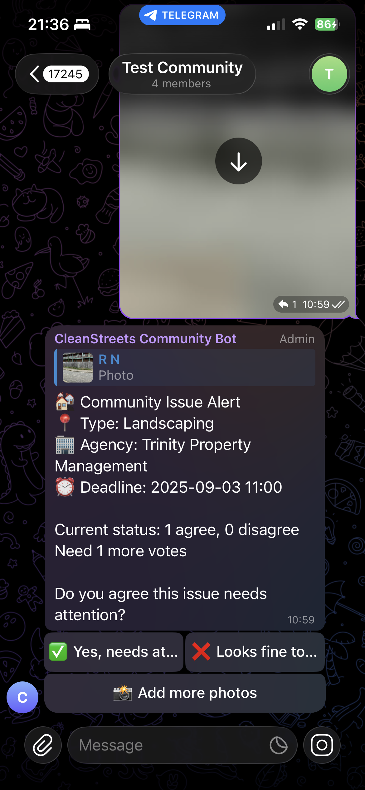 CleanStreets voting interface